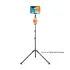 Ugreen LP585 Tablet & Phone Holder with Tripod Stand (15647)